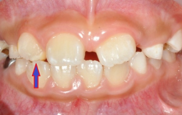 73bde1dca4952344964fff091cafa12a_1758088811_081.jpg